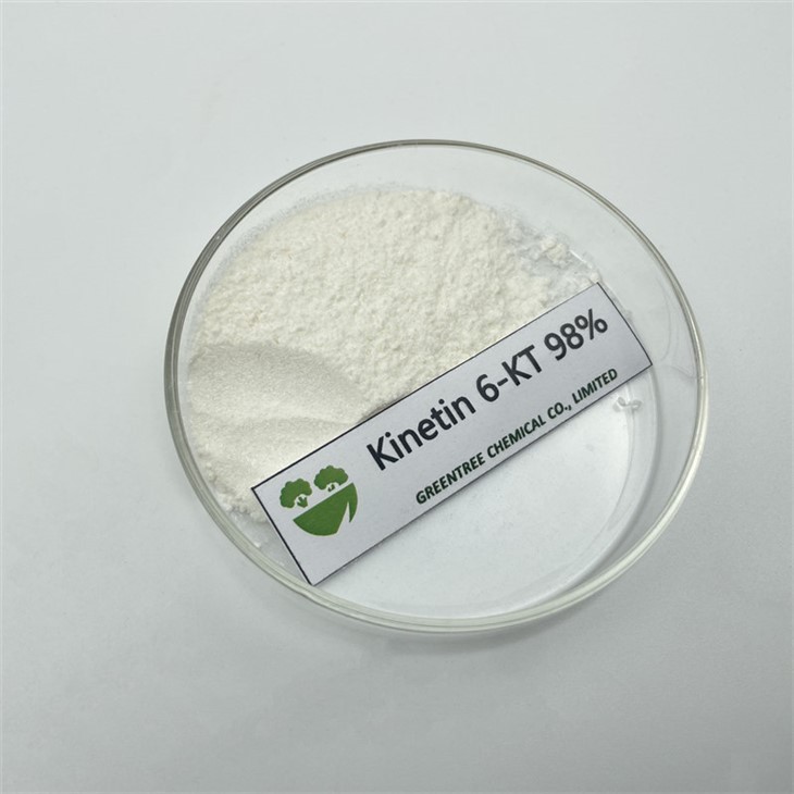 Cas nr. 525-79-1 taimede kasvu regulaator Kinetin 99% 1kg/kott müügiks