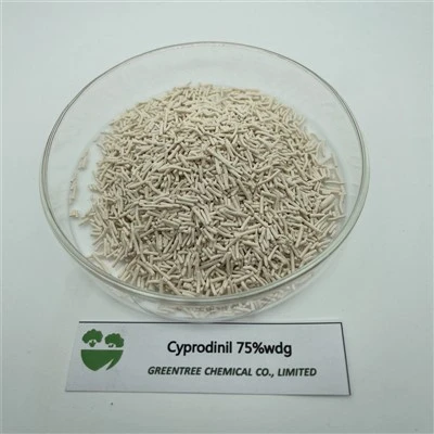 Cyprodinil 75% Wdg Bakteritsiid Fungitsiid C14H15N3