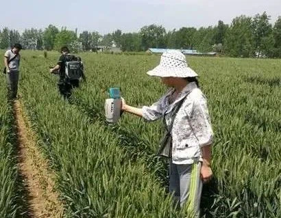 Flonicamid Flonicamid