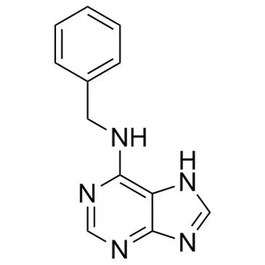 kinetin kinetin
